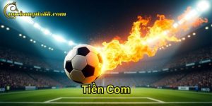 Tiền Com Trang Cá Cược Bóng Đá