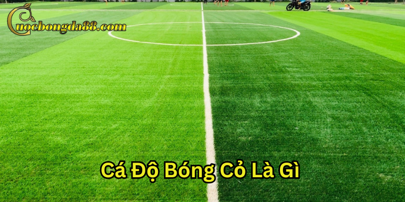 Ưu nhược điểm Cá Độ Bóng Cỏ Là Gì