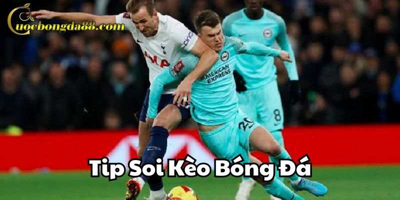 Ví dụ dễ hiểu trong Tip Soi Kèo Bóng Đá