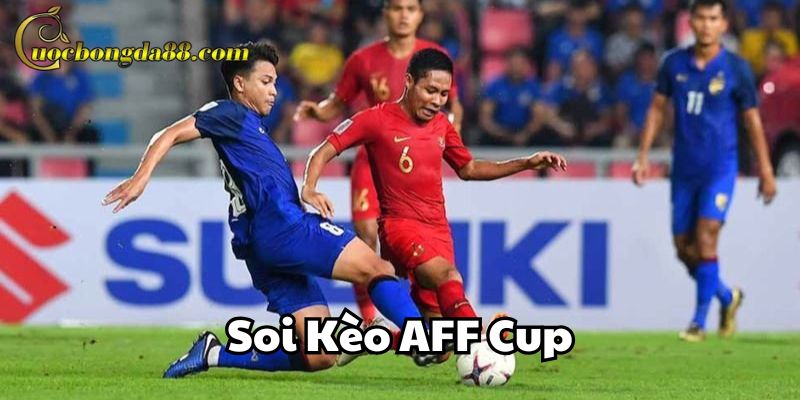 Yếu tố quan trọng khi Soi Kèo AFF Cup