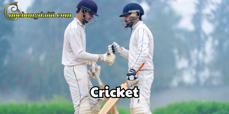 Cricket là gì?