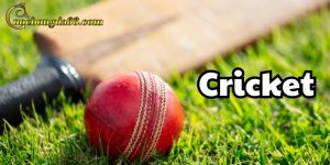 Cricket trang cá cược bóng đá