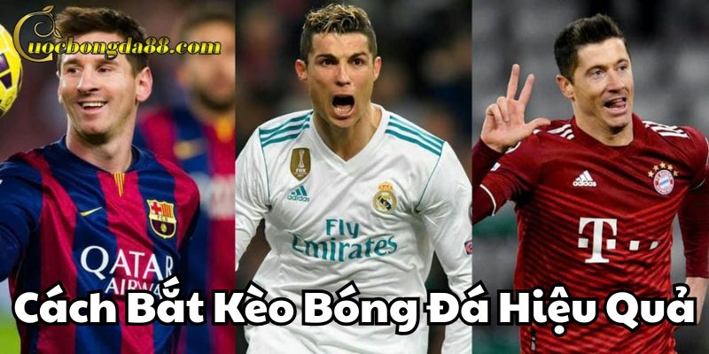 Hướng dẫn Cách Bắt Kèo Bóng Hiệu Quả cho người mới