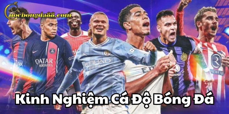 Kinh Nghiệm Cá Độ Bóng Đá nâng cao