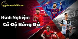 Kinh Nghiệm Cá Độ Bóng Đá Trang Cá Cược Bóng Đá