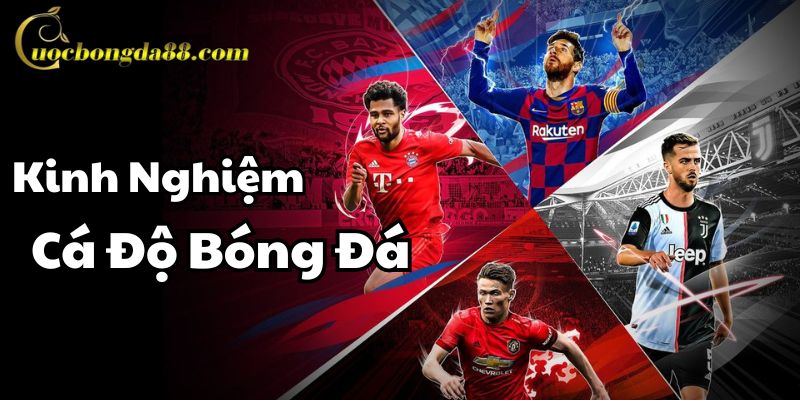 Kinh Nghiệm Cá Độ Bóng Đá Trang Cá Cược Bóng Đá