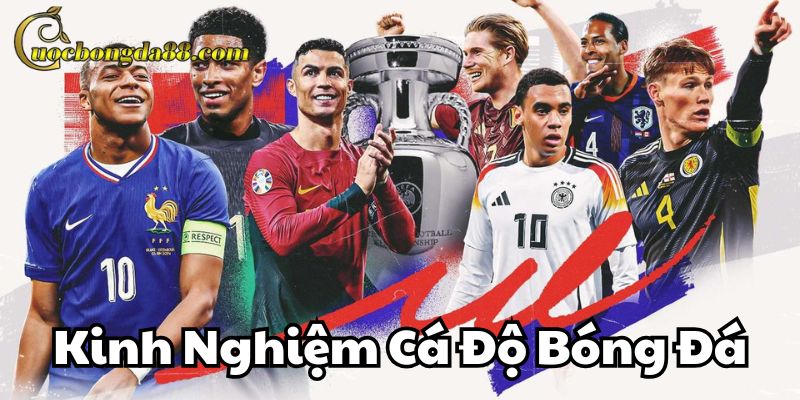 Kinh Nghiệm Cá độ Bóng Đá từ cao thủ