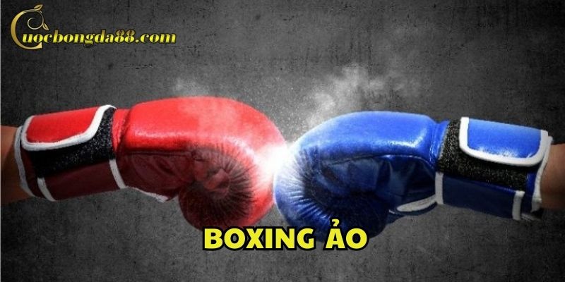Lưu ý quản lý vốn khi chơi Boxing Ảo