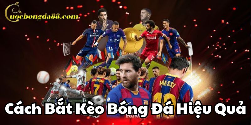 Mẹo thực chiến Cách Bắt Kèo Bóng Hiệu Quả