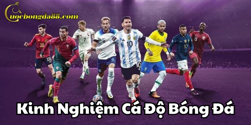 Phân tích trận đấu để cá độ hiệu quả