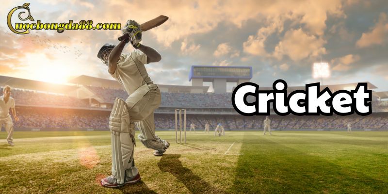 Tổng hợp kèo Cricket hấp dẫn