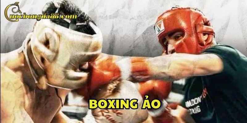 Trải nghiệm Boxing Ảo với đồ họa 3D