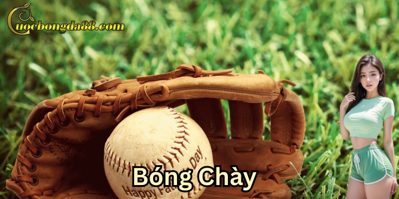 Cẩm nang về luật chơi