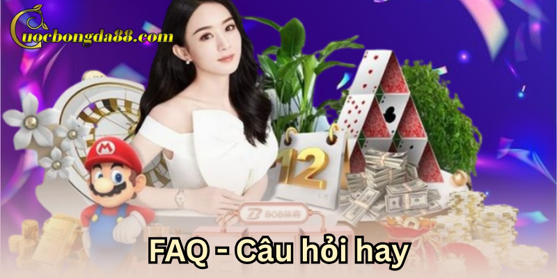 Câu hỏi thường gặp