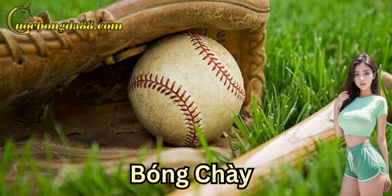 Cơ hội sinh lời & kết nối cộng đồng