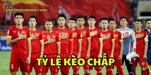 Có bao nhiêu Tỷ Lệ Kèo Chấp