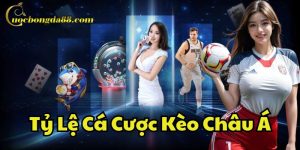 Chiến thuật chinh phục Tỷ Lệ Cá Cược Kèo Châu Á