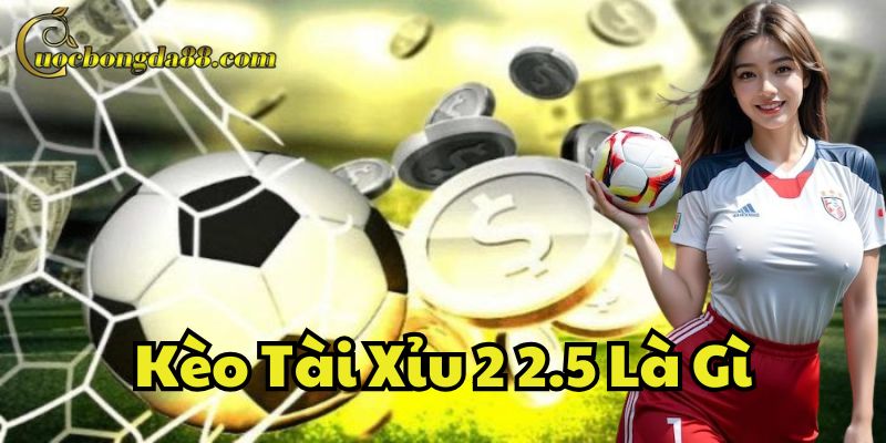 Giải mã Kèo Tài Xỉu 2 2.5 Là Gì