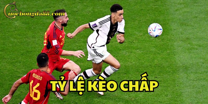 Tỷ Lệ Kèo Chấp lại quan trọng như thế nào?
