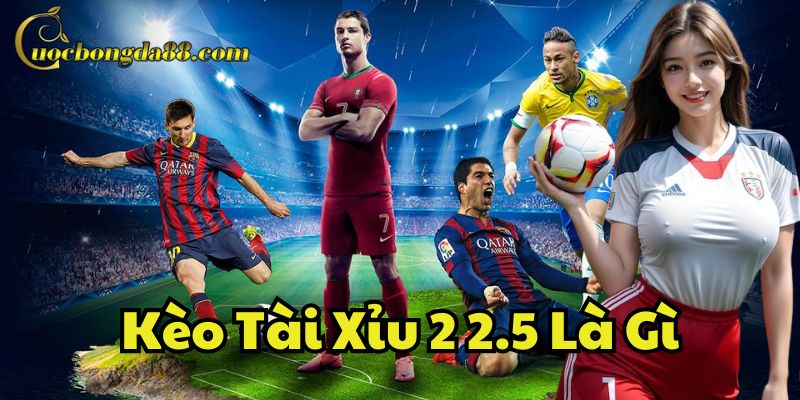 Mẹo soi Kèo Tài Xỉu 2 2.5 Là Gì