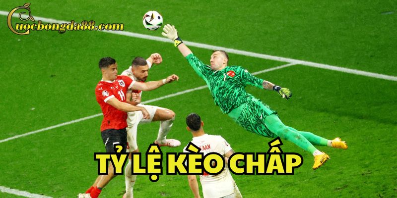Đọc đúng Tỷ Lệ Kèo Chấp trong kèo bóng đá