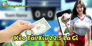 Thông tin quan trọng về Kèo Tài Xỉu 2 2.5 Là Gì