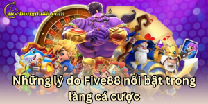 Đặc điểm nổi trội về nhà cái