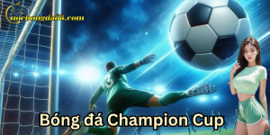 Lễ hội bóng đá toàn cầu