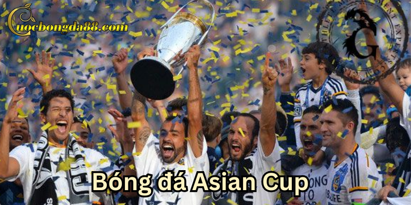Những thế lực lớn ở Asian Cup