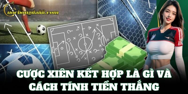 Cược Xiên Kết Hợp Là Gì và cách tính tiền thắng