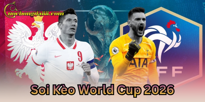 Soi Kèo World Cup 2026 chính xác mỗi ngày