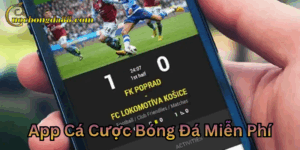 App Cá Cược Bóng Đá Miễn Phí uy tín 2025