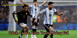 Bí quyết Cách Cược Xiên Trong Bóng Đá thắng lớn