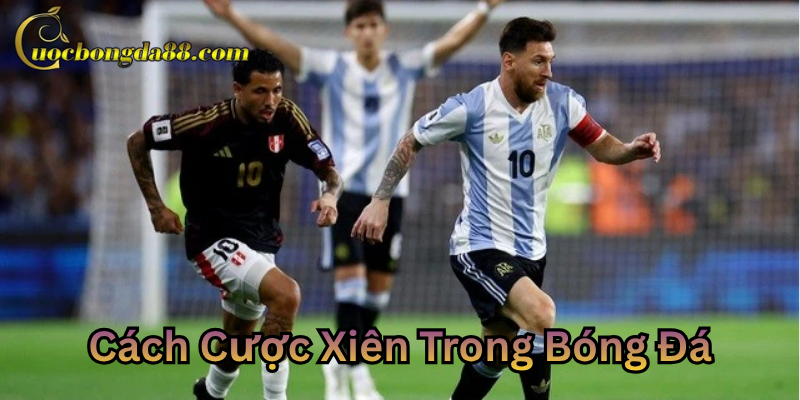 Bí quyết Cách Cược Xiên Trong Bóng Đá thắng lớn