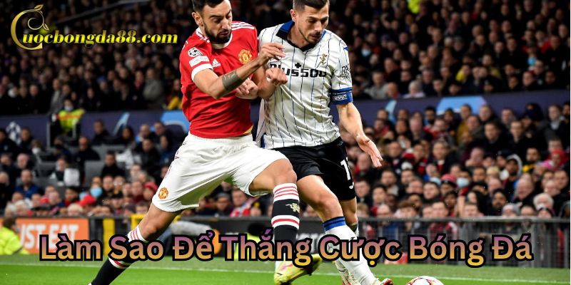 Bí quyết Làm Sao Để Thắng Cược Bóng Đá
