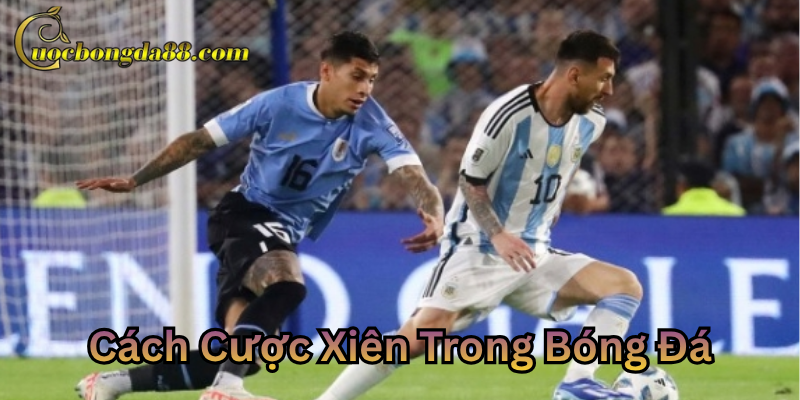 Cách Cược Xiên Trong Bóng Đá hiệu quả nhất