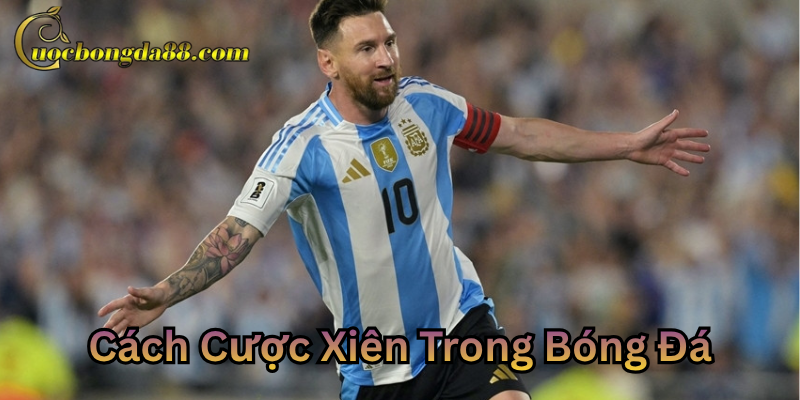 Cách Cược Xiên Trong Bóng Đá phân tích chuẩn