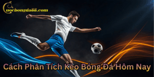 Cách Phân Tích Kèo Bóng Đá Hôm Nayn hận diện kèo thơm