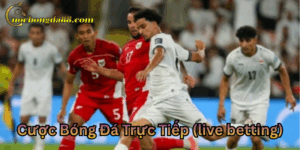 Chiến lược Cược Bóng Đá Trực Tiếp Live Betting chuẩn