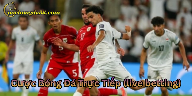 Chiến lược Cược Bóng Đá Trực Tiếp Live Betting chuẩn