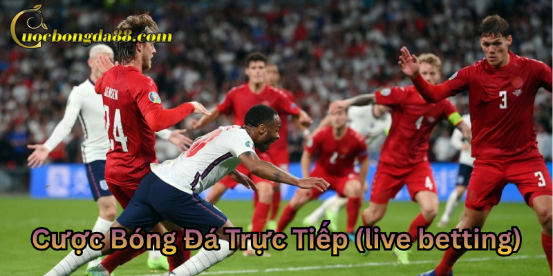 Cược Bóng Đá Trực Tiếp (Live Betting) nắm bắt tỷ lệ