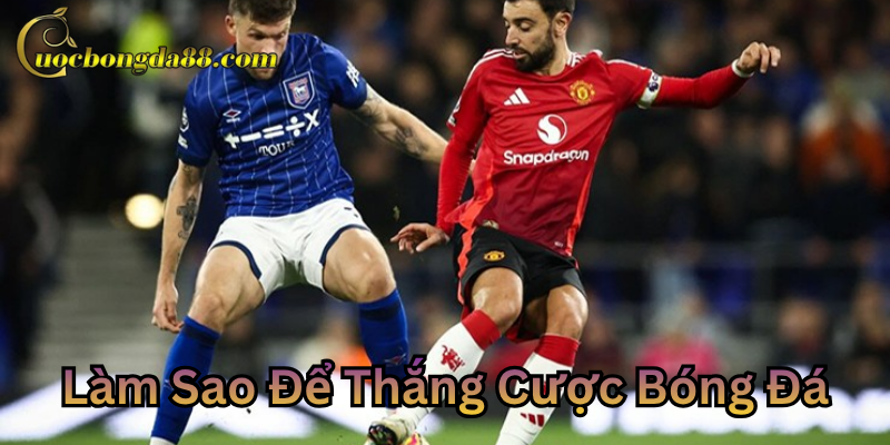 Giải thích làm sao để thắng cược bóng đá hiệu quả