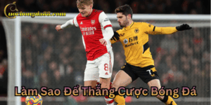 Làm sao để thắng cược bóng đá dễ dàng?