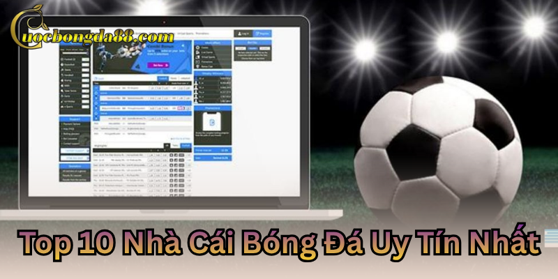 Top 10 nhà cái bóng đá uy tín nhất 2025