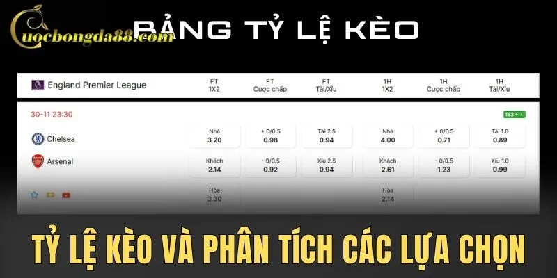 Tỷ lệ kèo và phân tích các lựa chọn