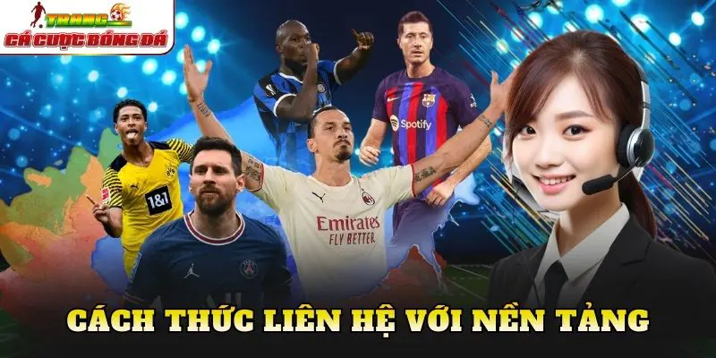 Cách thức liên hệ với nền tảng