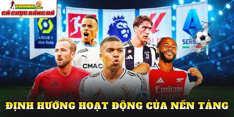 Định hướng hoạt động của nền tảng cá cược