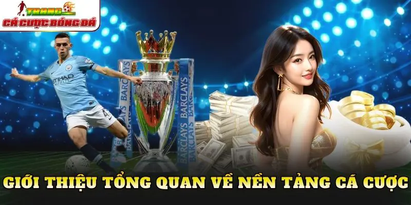 Giới thiệu tổng quan về nền tảng cá cược