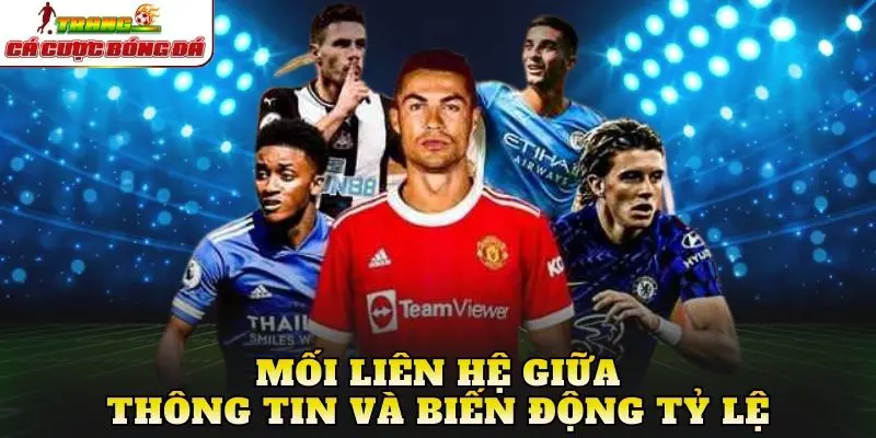 Mối liên hệ giữa thông tin và biến động tỷ lệ
