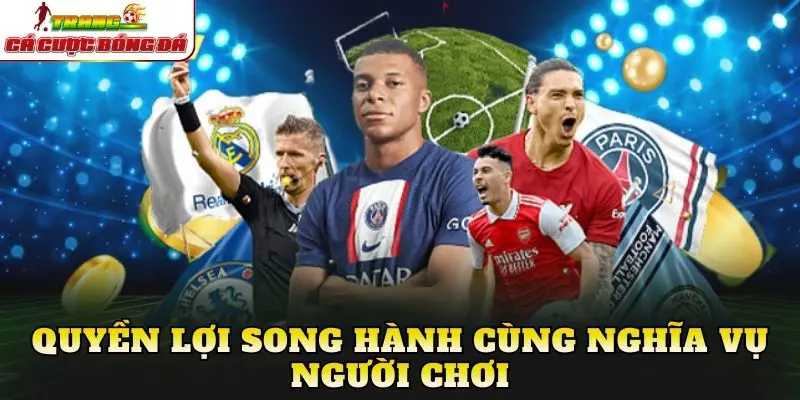 Quyền lợi song hành cùng nghĩa vụ người chơi